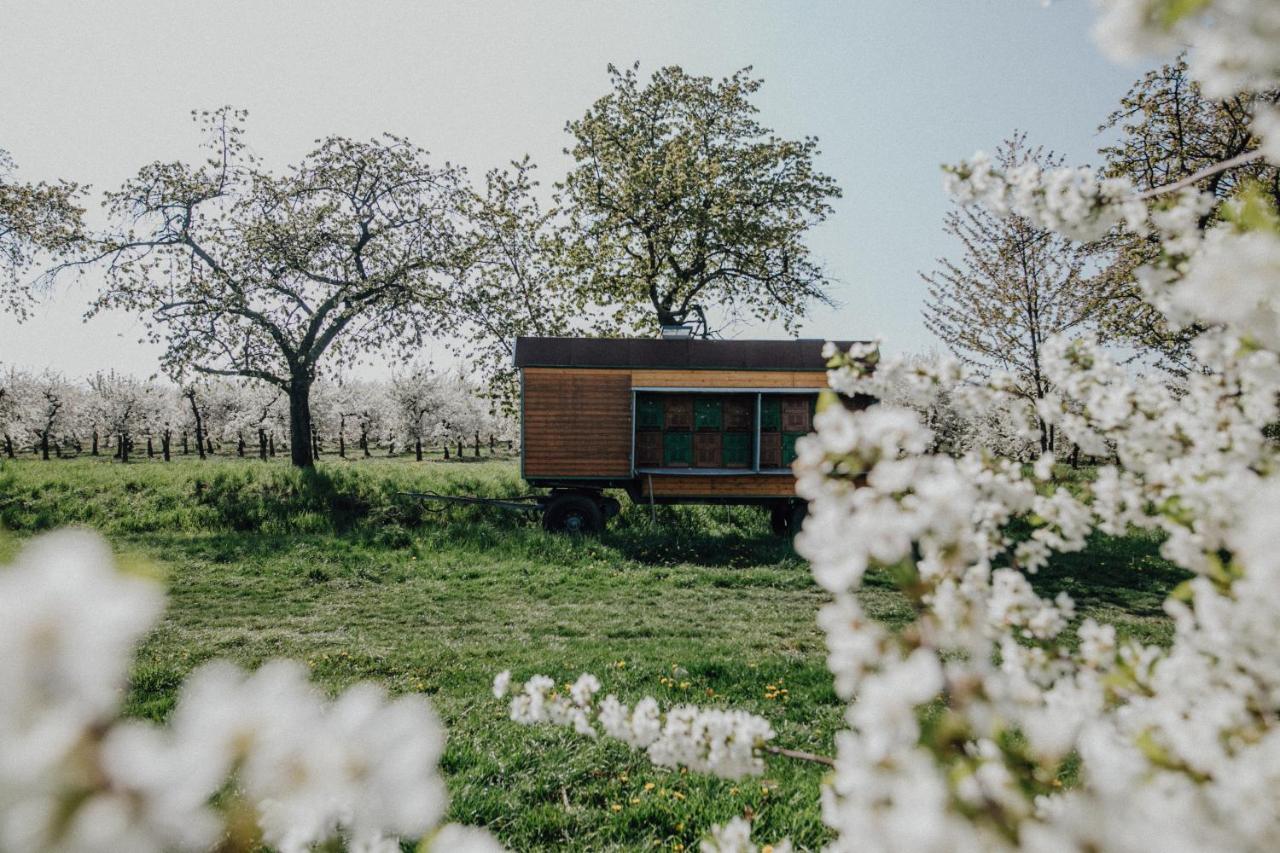 Landhotel Rosenschaenke 크라이샤 외부 사진